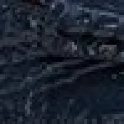 HALIE><noscript><img width=