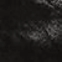 SPENCER><noscript><img width=
